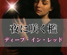 電子書籍（Kindle）の出版代行を致します 貴方の大切なコンテンツをベストセラー本に！令和7年3月出品！ イメージ6