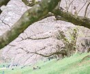 お部屋に飾る風景写真を提供します 写真歴10年　撮り溜めた風景写真をデータで提供します。 イメージ6