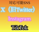 SNS集客にお困りの方へ｜運用アドバイスいたします バスるにはSNSが全て！インフルエンサーになりたい方必見 イメージ1