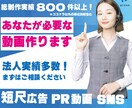 企業実績多数!!web広告動画の制作します 売上を最大化する！サービスや商品をweb広告で認知UP！ イメージ1