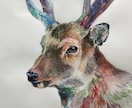 ペットのイラストを水彩画で描きます 写真にも写らない貴方だけが知っているペットの魅力を表現します イメージ4