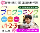 伝わりやすく、お客様を呼べるバナーを制作いたします クリックしてもらうための秘訣がつまったデザインです イメージ8