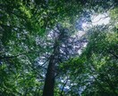 壁に隔てられた愛│その穢れを祓い、ご縁を動かします 第三者の影・執着・乱れを浄め、滞った愛のエネルギーを再接続 イメージ3