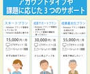 成長サポートプラン・Amazon出品コンサルします Amazonブランド登録済みの方・販促機能を使ってみたい方 イメージ8