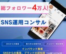 フォロワー4万人!実績のSNS運用で集客を叶えます SNSコンサル フォロワー実績4万人!インバウンド集客に強い イメージ1