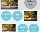 あなたの写真を”雰囲気のある一枚”に変えます いつもの写真に少し雰囲気を加えて、あなただけの一枚に！！ イメージ2