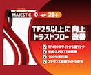 MajesticのTF値を25以上に向上します 【数値保証】トラストフロー改善、被リンク品質改善 イメージ1