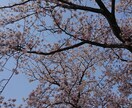 LINE感覚で楽しく一息♪やり取りします 悩み・愚痴・のろけ・世間話・暇つぶし・なりきりも！ イメージ2