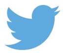 1万5千〜インプ保証！最大1000万以上拡散します TwitterでPR/拡散/宣伝/バズ/代理投稿/ イメージ2