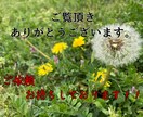 お気軽にアップしたい動画の編集致します 短編動画の文字入れ、繋ぎ、エフェクト、など編集致します イメージ1