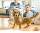 いざという時どこへ向かえばいいのか調べます 家族とペットを守る「地域別避難先リスト作成」サービス イメージ5