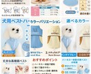 楽天・Amazon等、品質重視の商品画像制作します ✨ 「売上を動かす、設計された美しさ。」 ✨ イメージ3