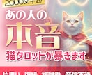 片思い・複雑愛★あの人の本音を猫タロットが暴きます オリジナルタロットで読み解く 2000文字超ボリューム鑑定！ イメージ1