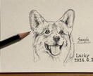 大切なペットの似顔絵【鉛筆画】を作成します サービス開始限定最低価格！完全手書き♪プレゼント用にも イメージ1