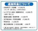 ロゴ画像をIllustratorでベクター化します PNG・JPGロゴ｜印刷会社経験者が入稿データ対応 イメージ3