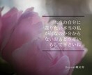 秘められた魅力、恋愛傾向、性の本質を読み解きます Sexual鑑定®︎は愛と性の世界に特化した夜専門の四柱推命 イメージ4