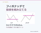 時間が無い人へ！放置型FXフィボナッチ手法教えます PDF3冊47ページ｜指値・TP・SLと質問対応1か月 イメージ1