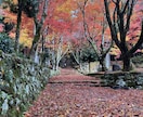 生まれつきの霊視を使ってお相手の気持ちを占います お相手を読み解き、取るべき行動やお相手の本心をお伝えします イメージ3