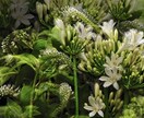 栄華金神エネルギー♡アチューメントします ♡栄華金神エネルギー♡モニター対価です^_−☆ イメージ1