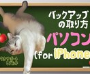 初心者必見！iPhoneバックアップ方法を教えます 初心者の方でも大丈夫です！親切丁寧に説明します！ イメージ2
