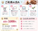 犬を飼って疲れてしまったあなたのお話を聴きます 愛犬が可愛くないと感じる飼い主さんの居場所 イメージ5