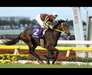 中央競馬予想 イメージ1