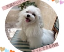 ただ誰かと話したい時、ゆっくりお話し聞きます 電話する勇気ない人も大丈夫、まずは第1歩、優しく受け止めます イメージ1