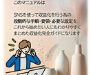 SNS初心者も！実践的収益化完全ガイドお渡しします SNS副業初心者でも収益化を目指せるマネタイズ完全ガイドです イメージ2