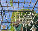 映える東京の旅プラン作成します 無料でカフェ、足湯などお得な情報盛りだくさんな旅プラン イメージ7