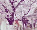 あなたの味方♡元保育士がお話なんでも聞きます 話を聞いてもらってホッとする。そんな時間を作ります！ イメージ1