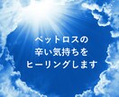 ペットロスに陥っている方へ、ヒーリングをいたします アニマルコミュニケーターが飼い主さん向けにヒーリングをします イメージ3