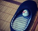 心理カウンセリングを提供します あなたのお悩みに寄り添い、人生の方向性を示します。 イメージ1