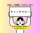お試し5案｜キャッチコピー作成します トライアル依頼をしたい方にキャッチ5案作成 イメージ1