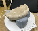 文化財3Dデータ作成・公開を支援します 地域に残る文化財を、まとめてデジタルデータとして残すお手伝い イメージ3