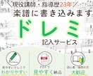 譜読みが苦手な方へ！楽譜にドレミを書き込みます 指導歴23年の講師が、見やすく丁寧にドレミをお入れします イメージ1