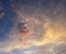 あなたの心に眠る可能性の芽、芽吹かせます 。心を優しく解きほぐし、新しい自分との出逢いへ導きます。 イメージ2