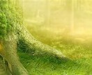ココナラ占い師開始から半月の様子:質問に答えます 出品考えている方の参考になればと思い出品しました。 イメージ1