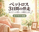ペットロスの想いに３日間そっと寄り添います あの子への想いを、ひとりで抱えないためのテキスト相談 イメージ1