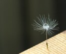 お話し聞きます お話しやお気持ち、お聞かせください イメージ1