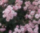なんでも話そう☆どんな話も受け止めます 愚痴｜相談｜悩み｜近況   短時間でも大歓迎！ イメージ4