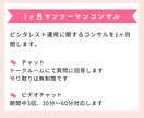 初心者歓迎♪プロがピンタレストの集客コンサルします SNSやブログへ集客します。ピンタレスト運用でお困りの方へ イメージ6