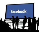 経験実績５年！Facebook広告運用代行します Facebook広告を活用しませんか？ イメージ1