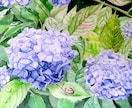 お気に入りの花の写真を水彩画にします あなたの好きな花を作品にして飾りませんか？ イメージ9