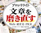 プロがリライト！Web・紹介・PR文を磨き直します 大手企業の広告、映画、編集等の実績◎／1,000字まで1万円 イメージ1
