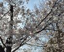今すぐ話したい方へ。あなたの味方となりお話聞きます 誰かに聞いてほしい、、そんな時なんでも気軽に話してください！ イメージ8