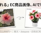 楽天・EC向け売れる商品画像をAIで制作します 楽天で売ってきたEC実務8年の視点で、クリックされる一枚を イメージ1