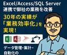 Excel業務自動化！経験30年のSEが構築します Access/SQL連携で、貴方の業務をミスなく高速化します イメージ1