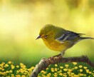 体調不良のあなたの心が軽くなるよう、お話を聞きます カウンセラー歴４年／あなたの好きなお話で楽しい時間をご一緒に イメージ6