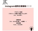 Instagramの運用代行承ります インスタ運用お手伝いします！応援価格！ イメージ3