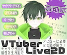 限定価格！高可動◎Vモデル一括制作します もう一つの身体を仕立てます。一括で必要なものをご準備可能！ イメージ1